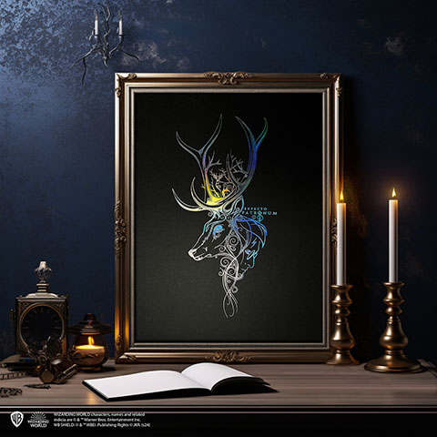 Poster da collezione Patronum  - Harry Potter