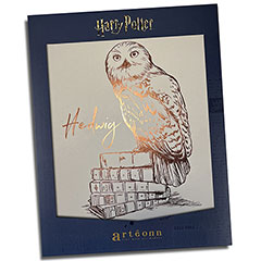 AT0006-Affiche de collection Hedwige - Harry Potter