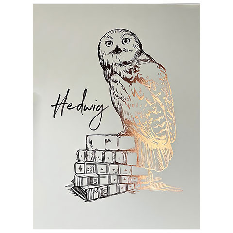 Sammelplakat Hedwige - Harry Potter