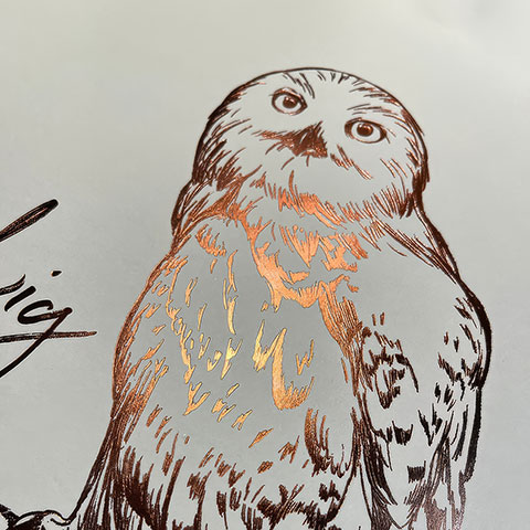 Póster rígido Hedwig - Harry Potter