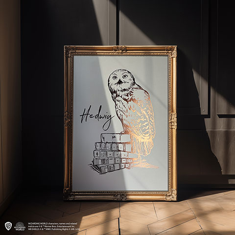 Rigid poster Hedwig - Harry Potter