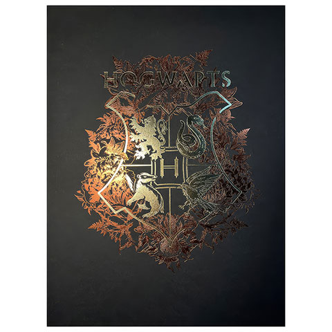 Poster da collezione Hogwarts - Harry Potter