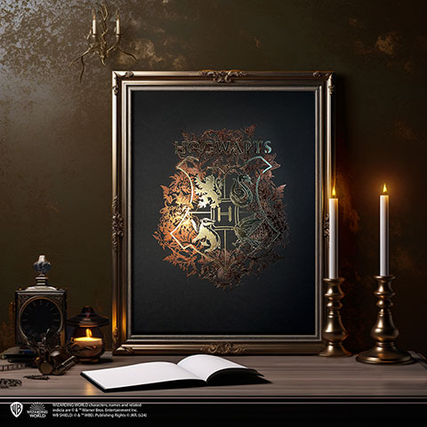 Poster da collezione Hogwarts - Harry Potter