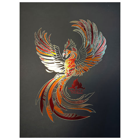 Rigid poster Order of the Phoenix- Harry Potter