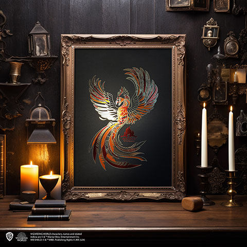 Affiche de collection Ordre du Phenix - Harry Potter