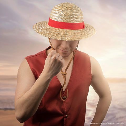 Straw hat - One Piece