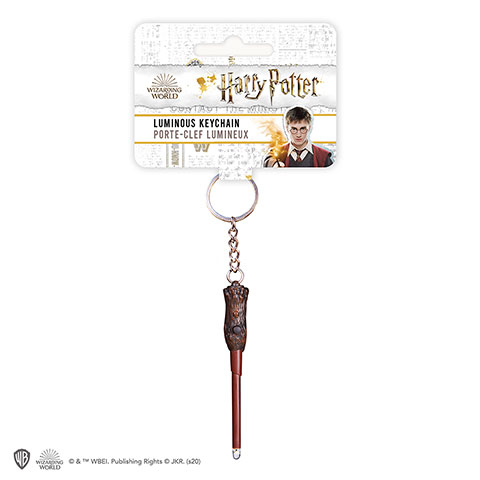 Porte clefs Harry Potter lumineux