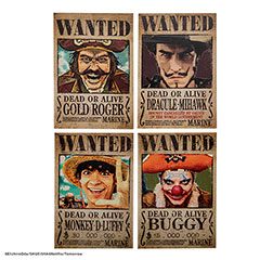 CR3290-Set 4 magnets Wanted - One Piece