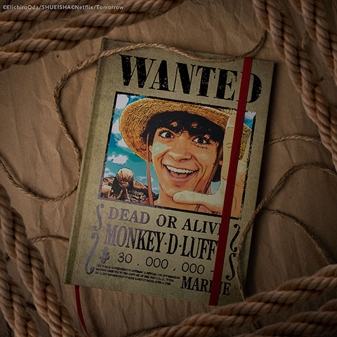 Hard cover notebook Luffy Wanted - One Piece