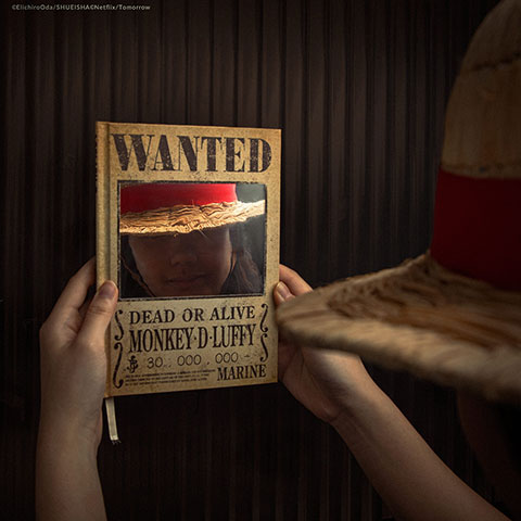 Libreta espejo Wanted - One Piece