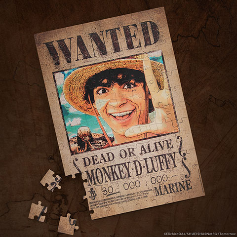 Magnetic puzzle Luffy Wanted - One Piece