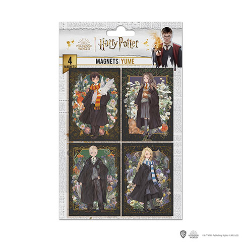 Set de 4 imanes - Retratos de los personajes - Harry Potter