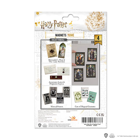 Set de 4 magnets - Personnages portraits - Harry Potter
