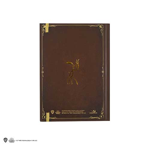 Hard cover notebook and bookmark - Newt Scamander